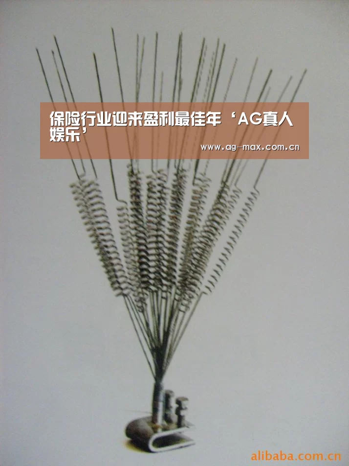 保险行业迎来盈利最佳年‘AG真人娱乐’(图1) AG真人娱乐