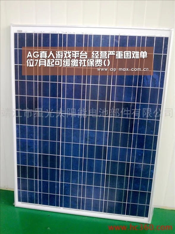 AG真人游戏平台_经营严重困难单位7月起可缓缴社保费()(图3) AG真人官网