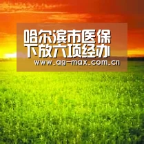 哈尔滨市医保下放六项经办业务_AG真人互动(图3) AG真人互动